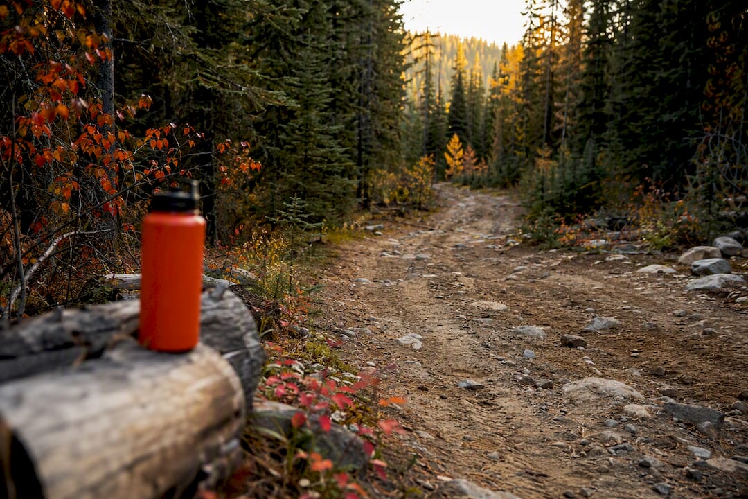 Rugged Canadian off-road trail with tire tracks