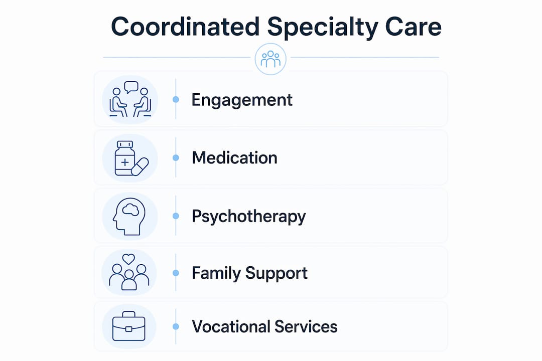 Infographic showing key CSC components in vertical steps