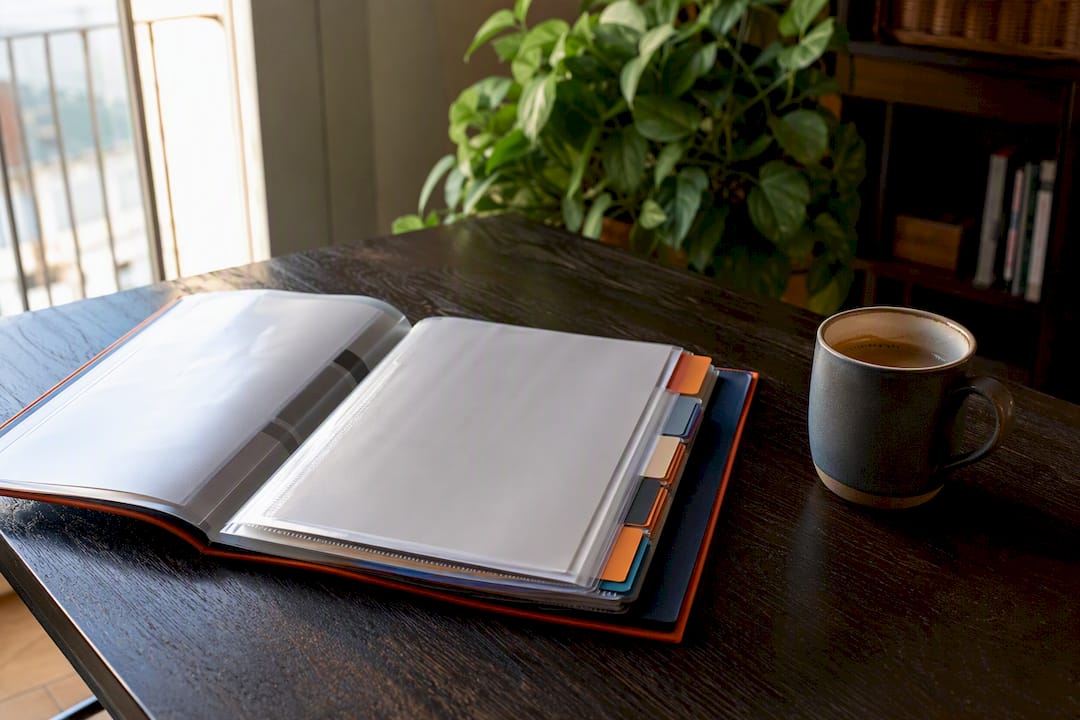 Organized visa documents in folder with tabs