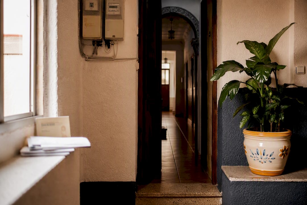 Padrón registration and utility bills for residence