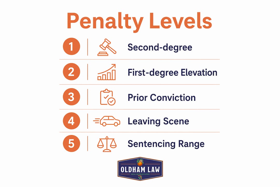 Infographic detailing vehicular manslaughter penalties in Florida