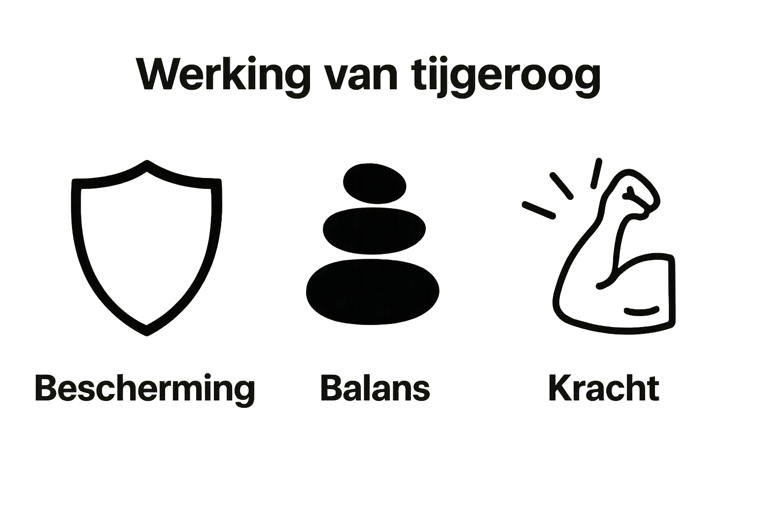 Infographic highlighting tijgeroog’s protection, balance, and strength properties.