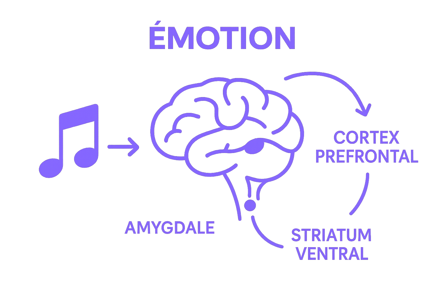 Infographic comparing brain regions for music and emotion