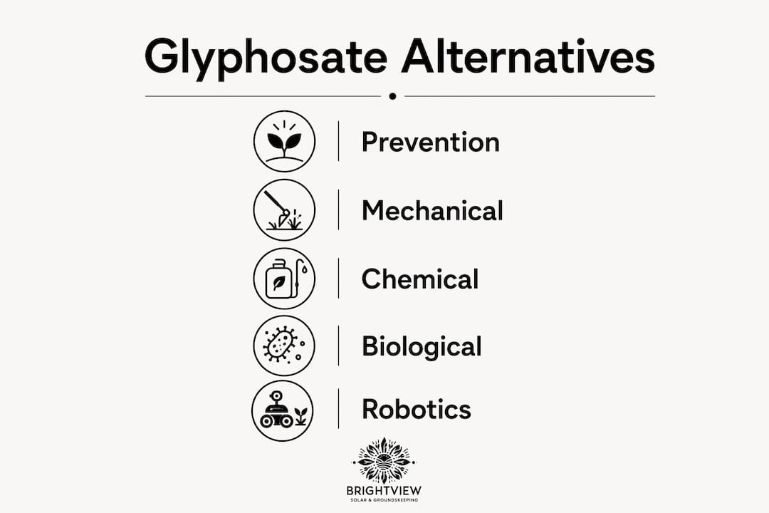 Infographic illustrating glyphosate alternative methods