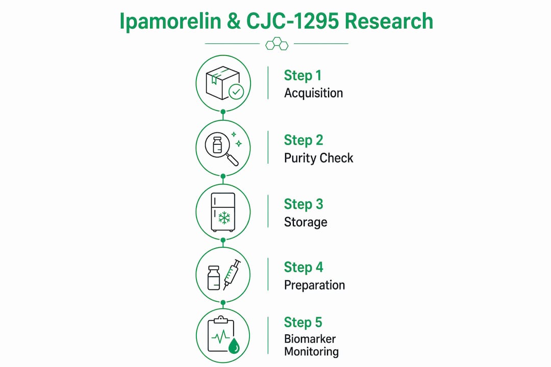 Infographic illustrating key research steps for peptides