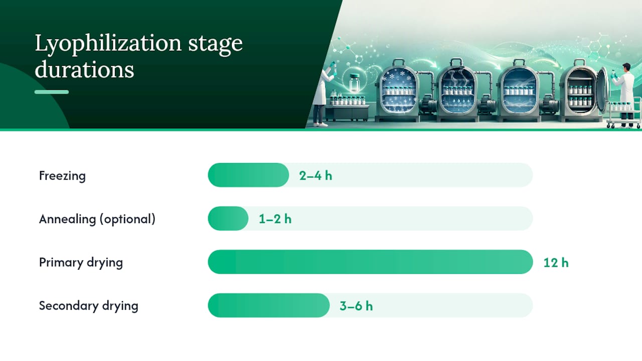 Diagram of lyophilization stages and parameters