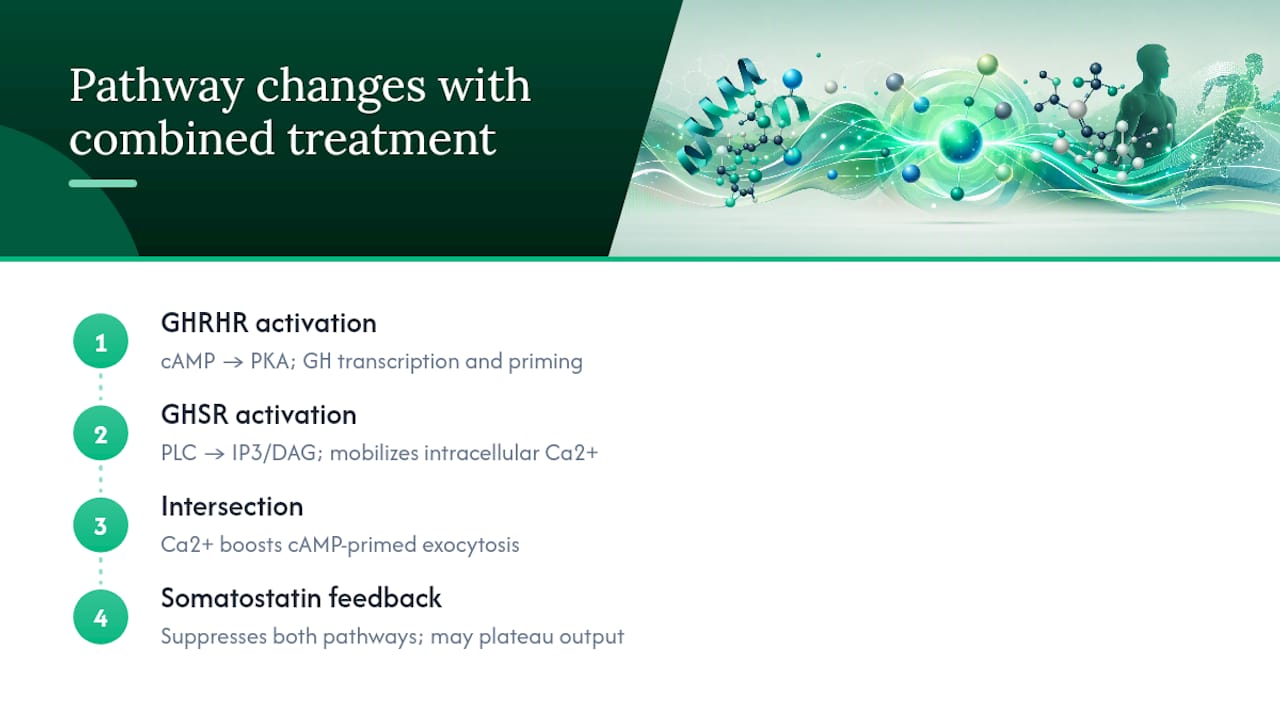 What Signaling Pathways Change With Combined Treatment? — overview diagram