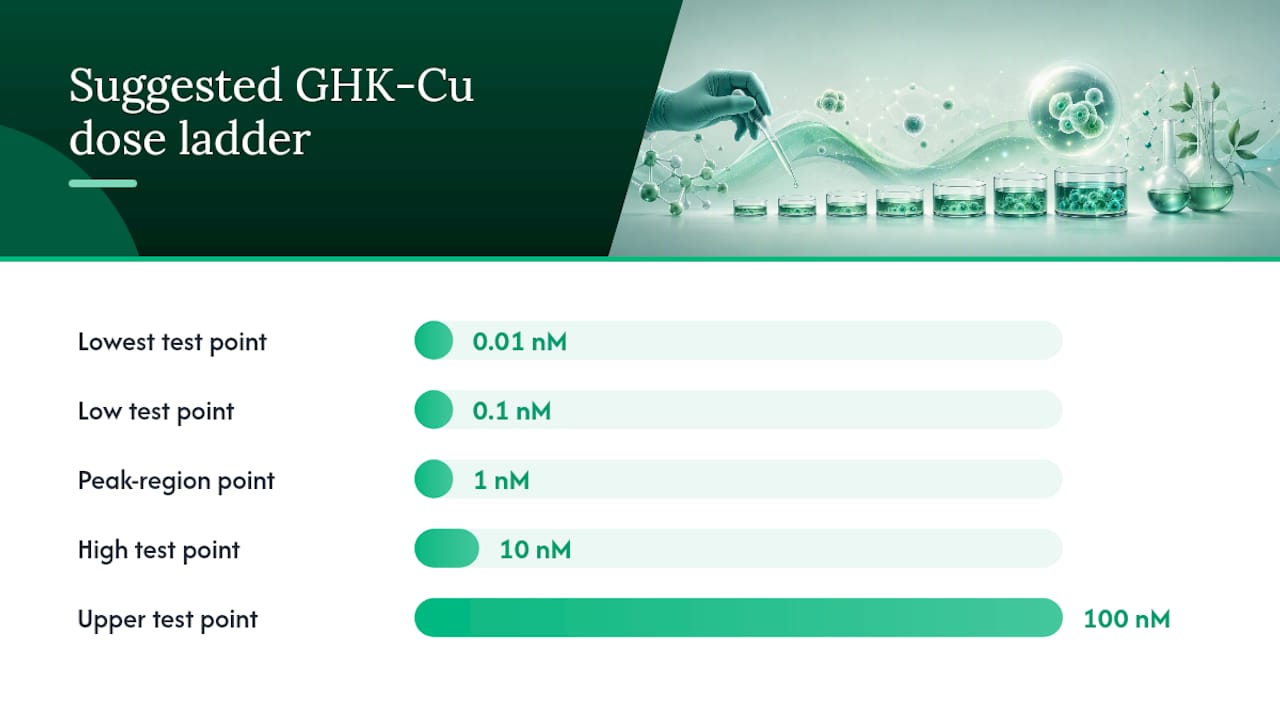 What Concentration of GHK-Cu Works Best in Culture? — overview diagram