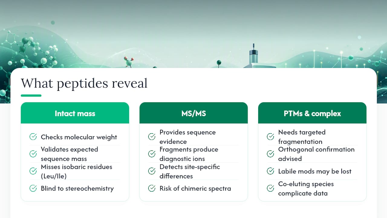 What Mass Spectrometry Tested Peptides Actually Reveal — overview diagram