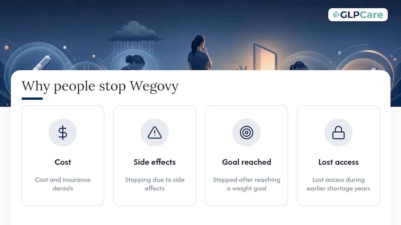 Why Are People Stopping Wegovy? — overview diagram