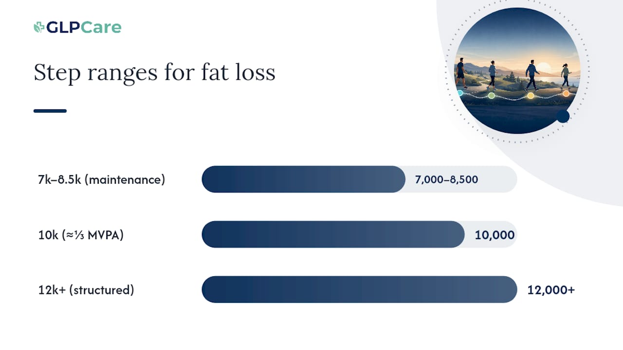 What Does the Research Say About Step Count and Fat Loss? — overview diagram