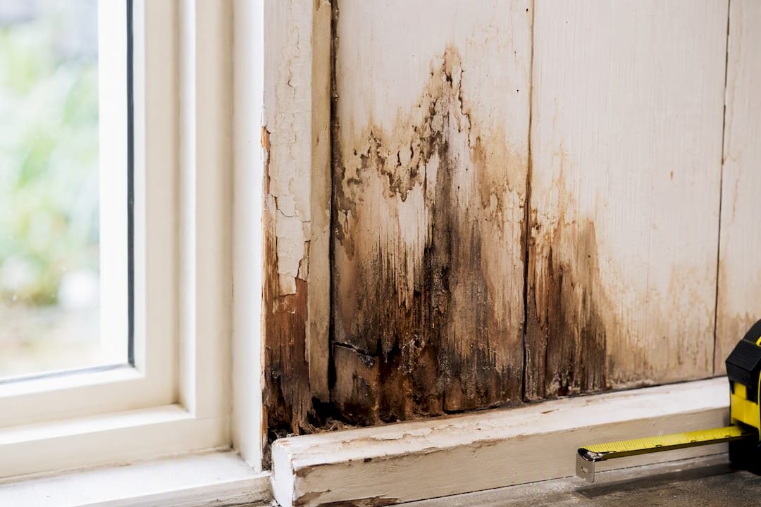 Close-up of water damaged wooden wall section