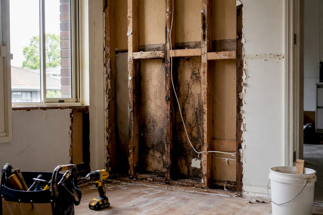 Exposed damaged wall framing causing renovation delay