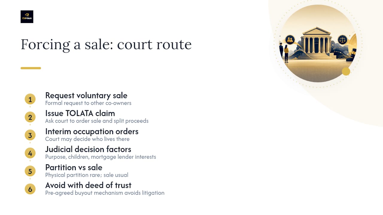 Can a co-owner force a sale or partition of the property? — overview diagram