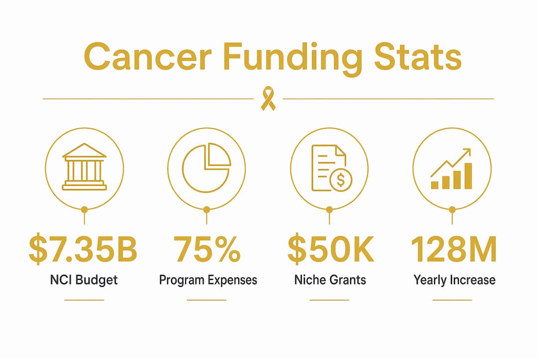 Infographic showing cancer research funding statistics