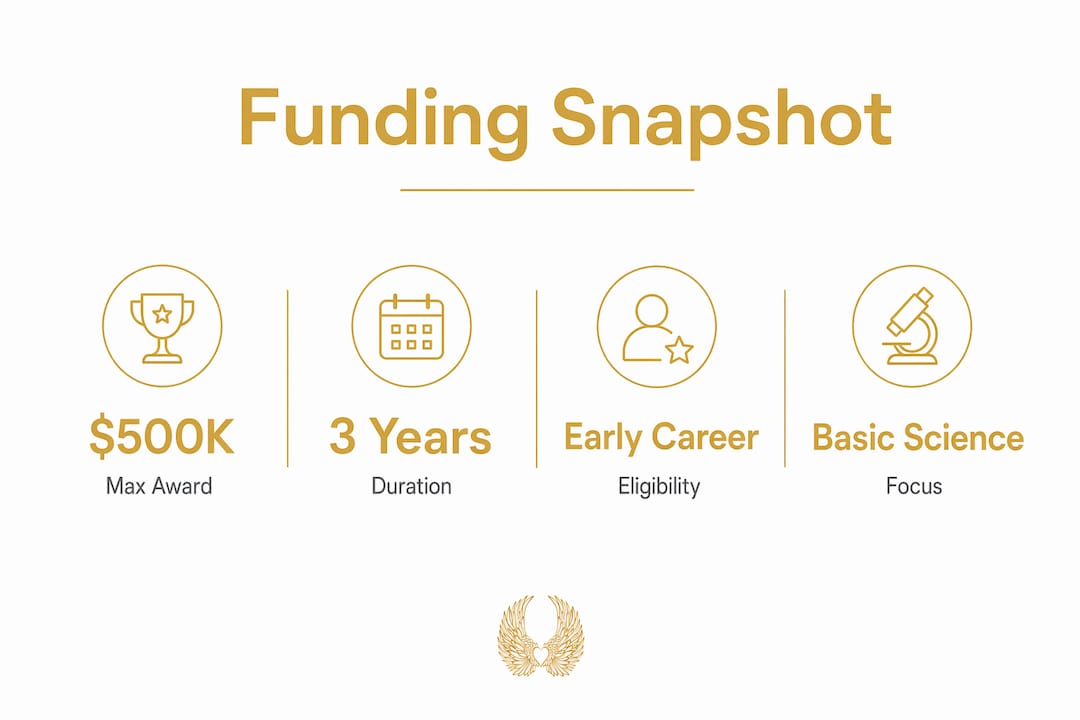 Infographic showing breast cancer research funding key metrics