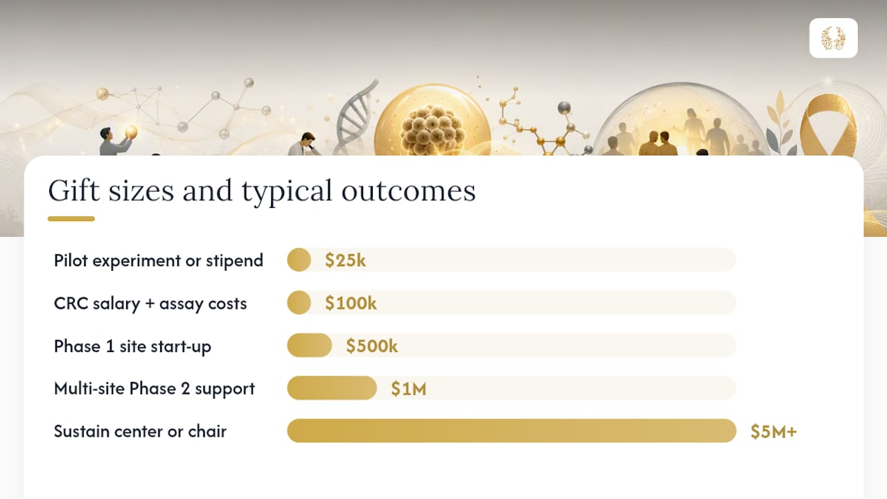 How are donor gifts typically used, and what can each gift size accomplish? — overview diagram