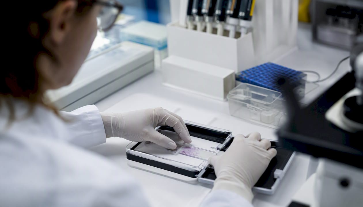 Gloved hands handling microscope slide in research lab