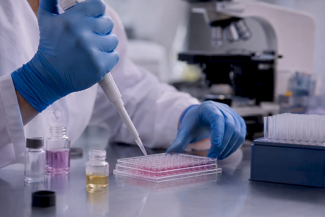 Hands pipetting nanoparticles to activate immune cells