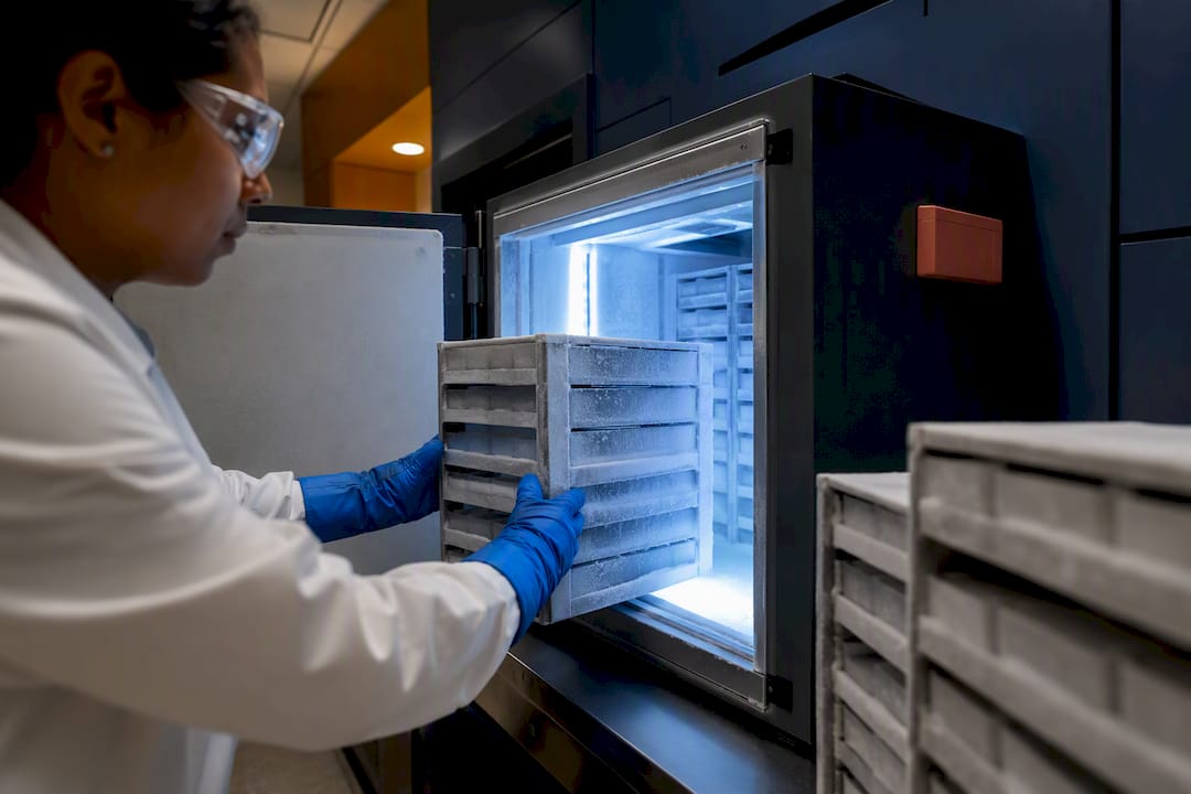 Technician organizing samples in biobank freezer