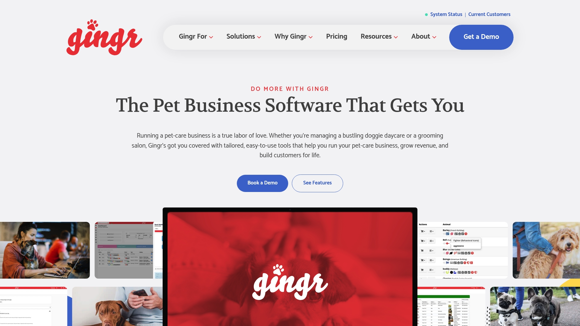 https://gingrapp.com
