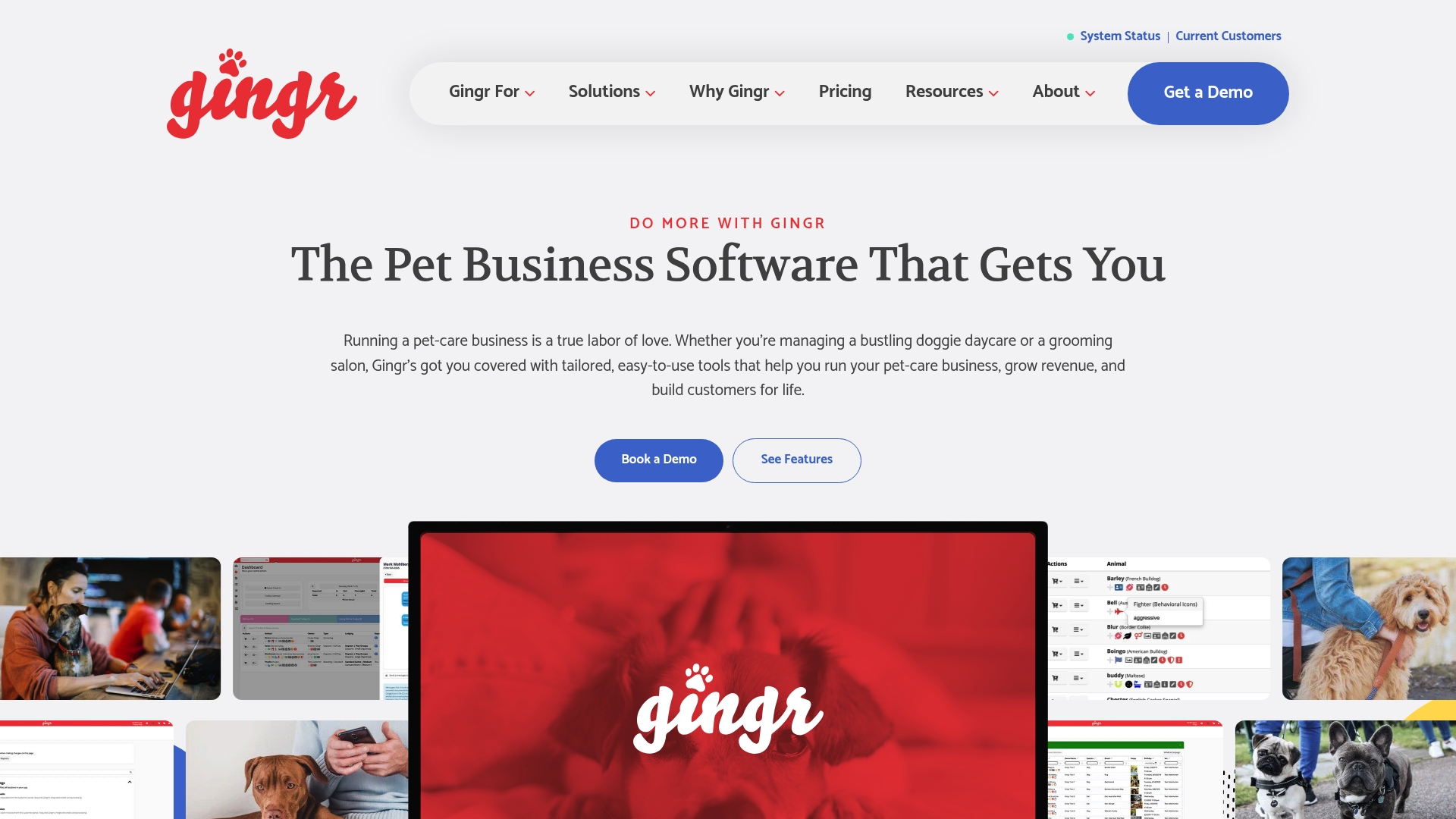 https://gingrapp.com