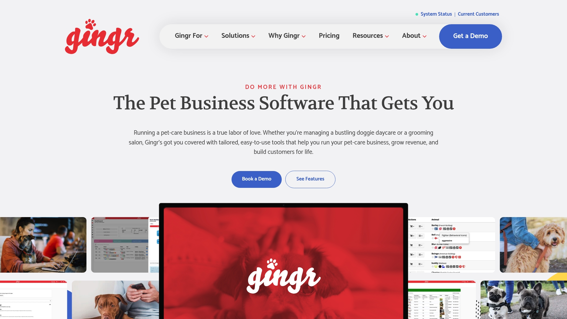 https://gingrapp.com