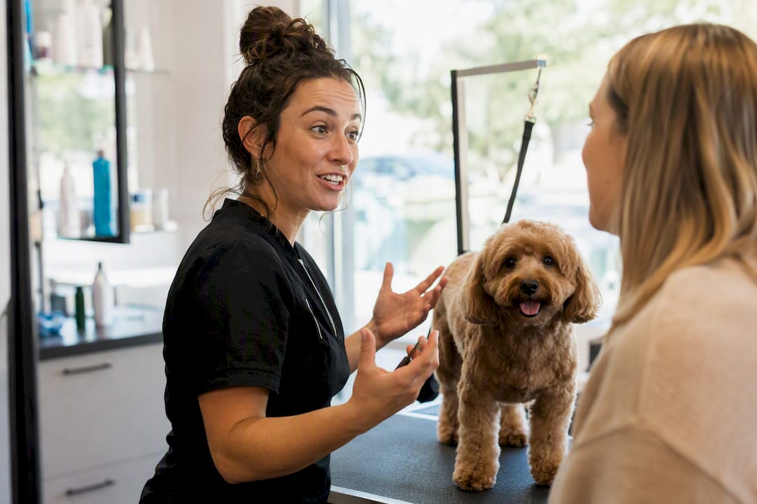 Grooming staff delivering rebooking script