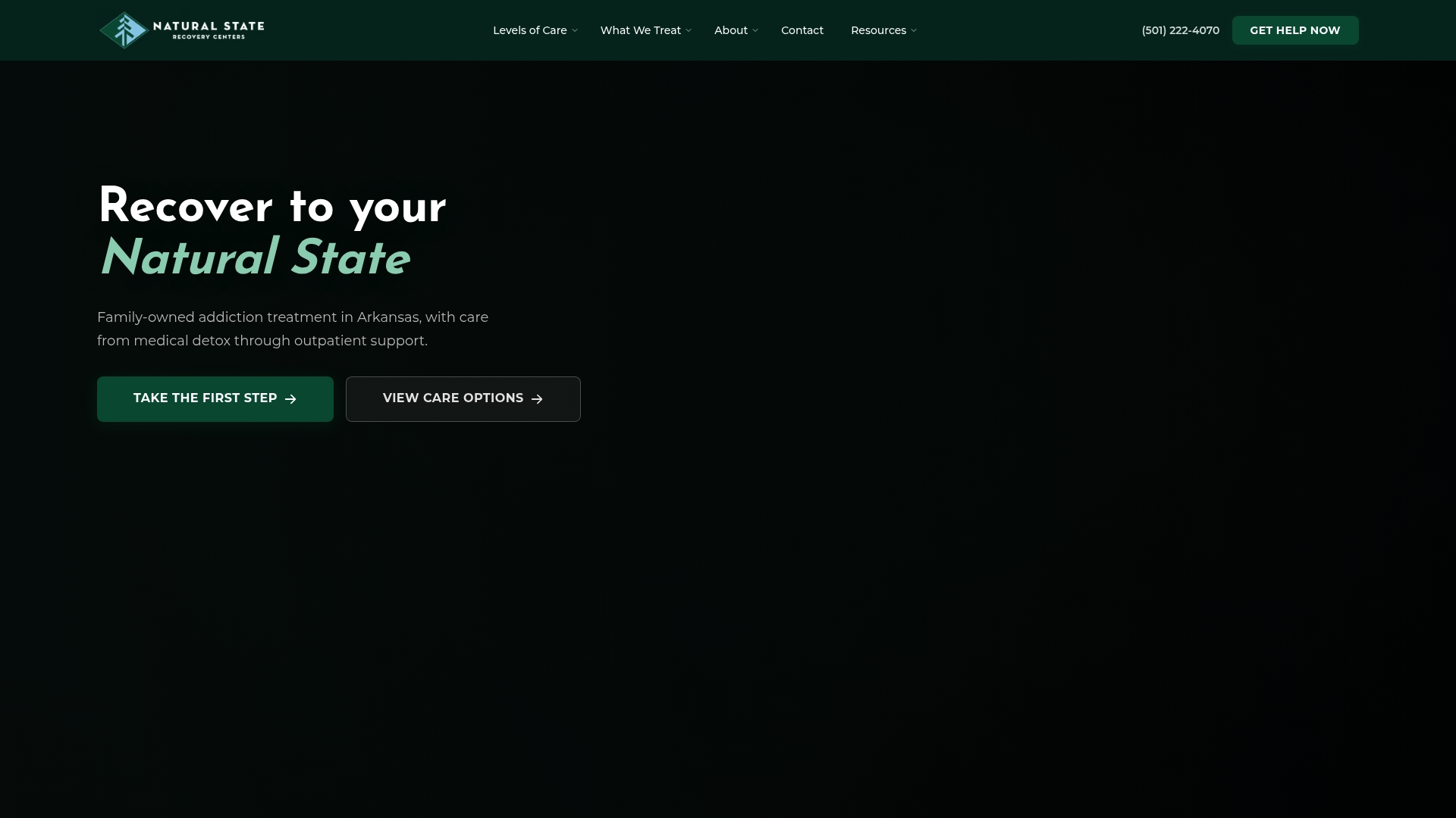 https://naturalstaterecovery.com