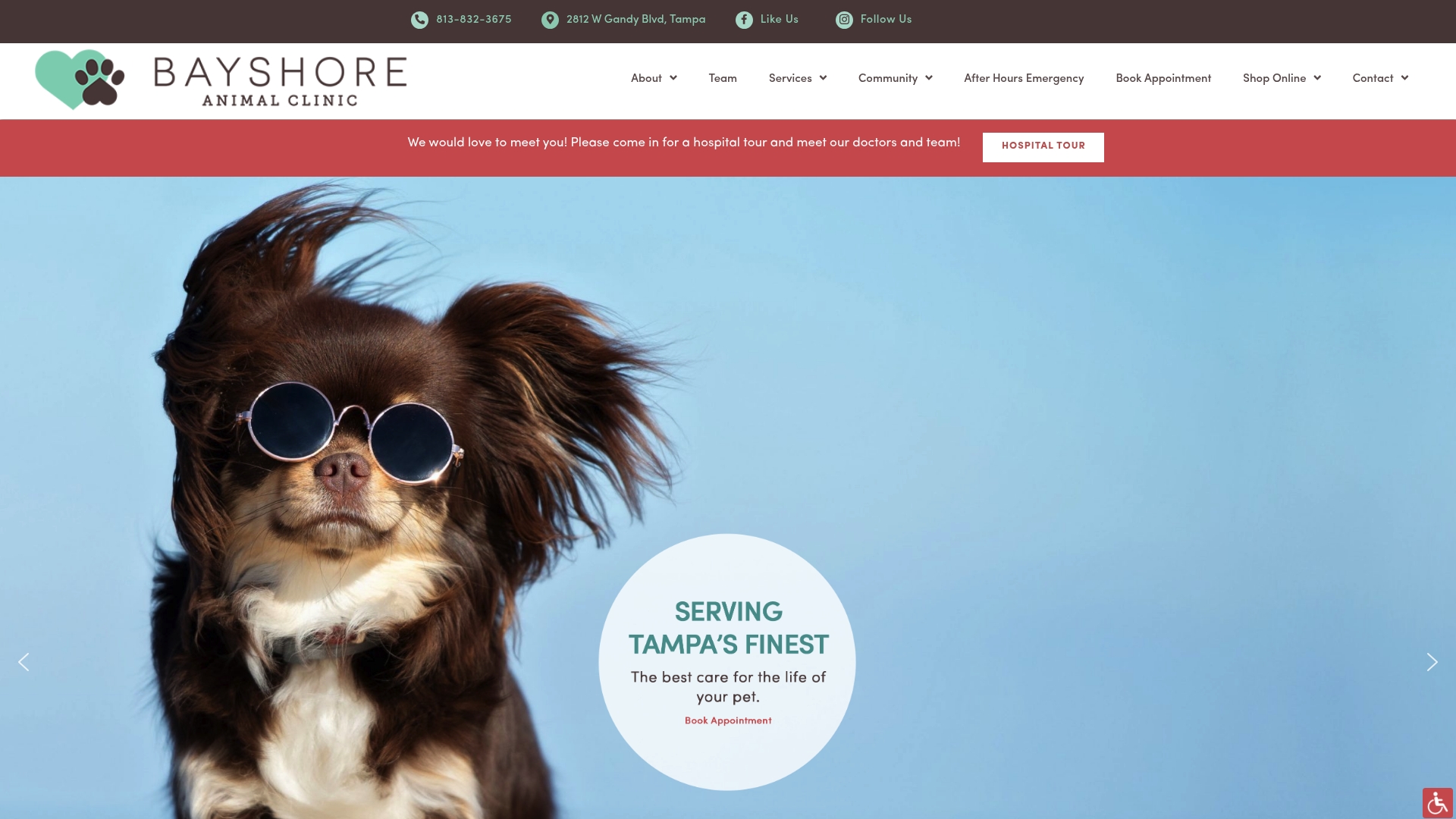 https://bayshoreanimalclinic.com
