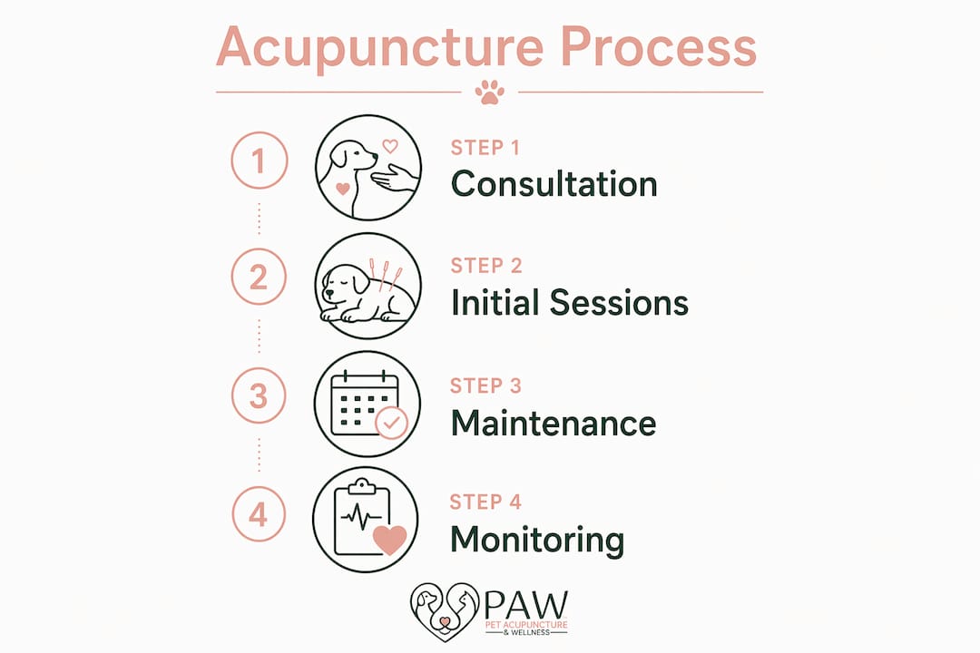 Infographic showing four-step veterinary acupuncture treatment process