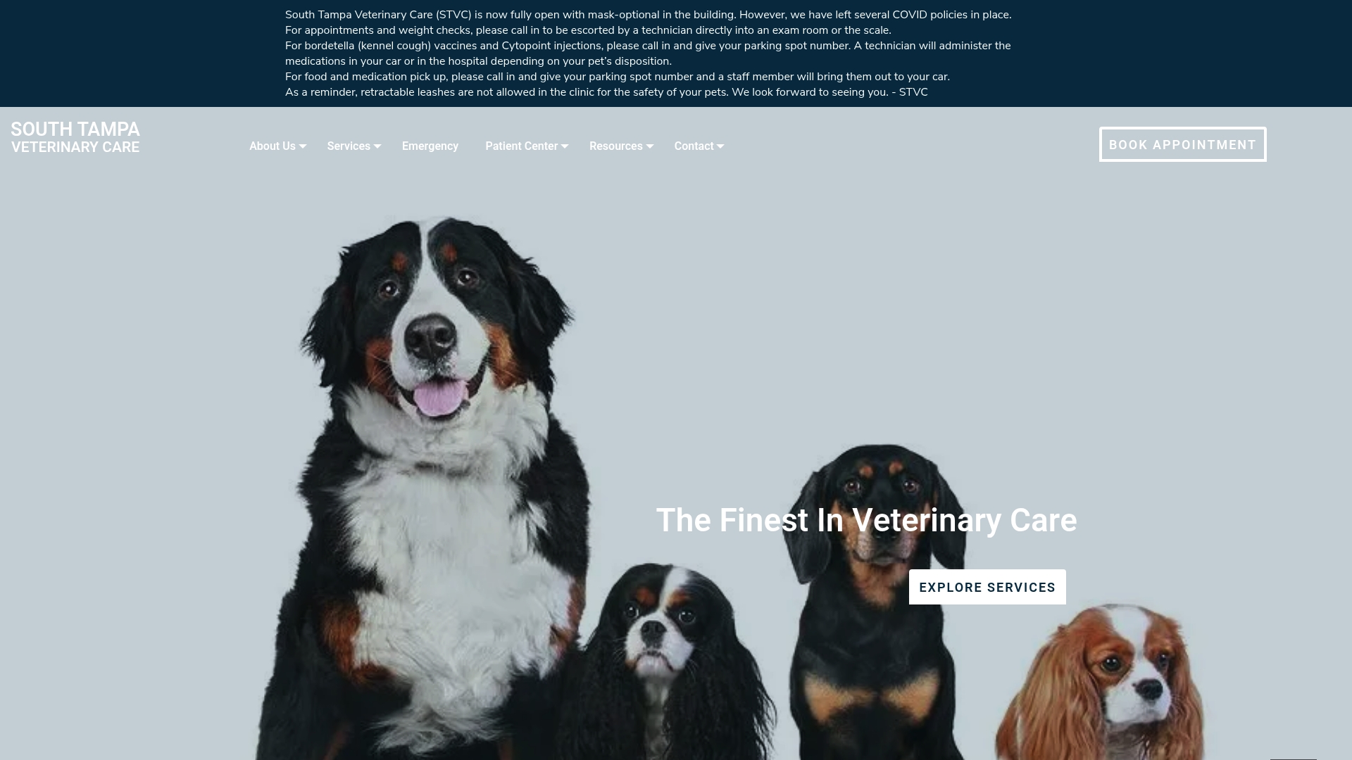 https://stampavet.com