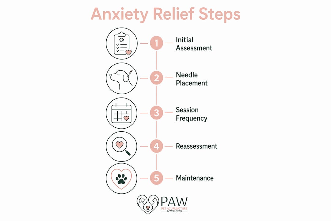 Infographic showing stepwise acupuncture anxiety relief process for dogs