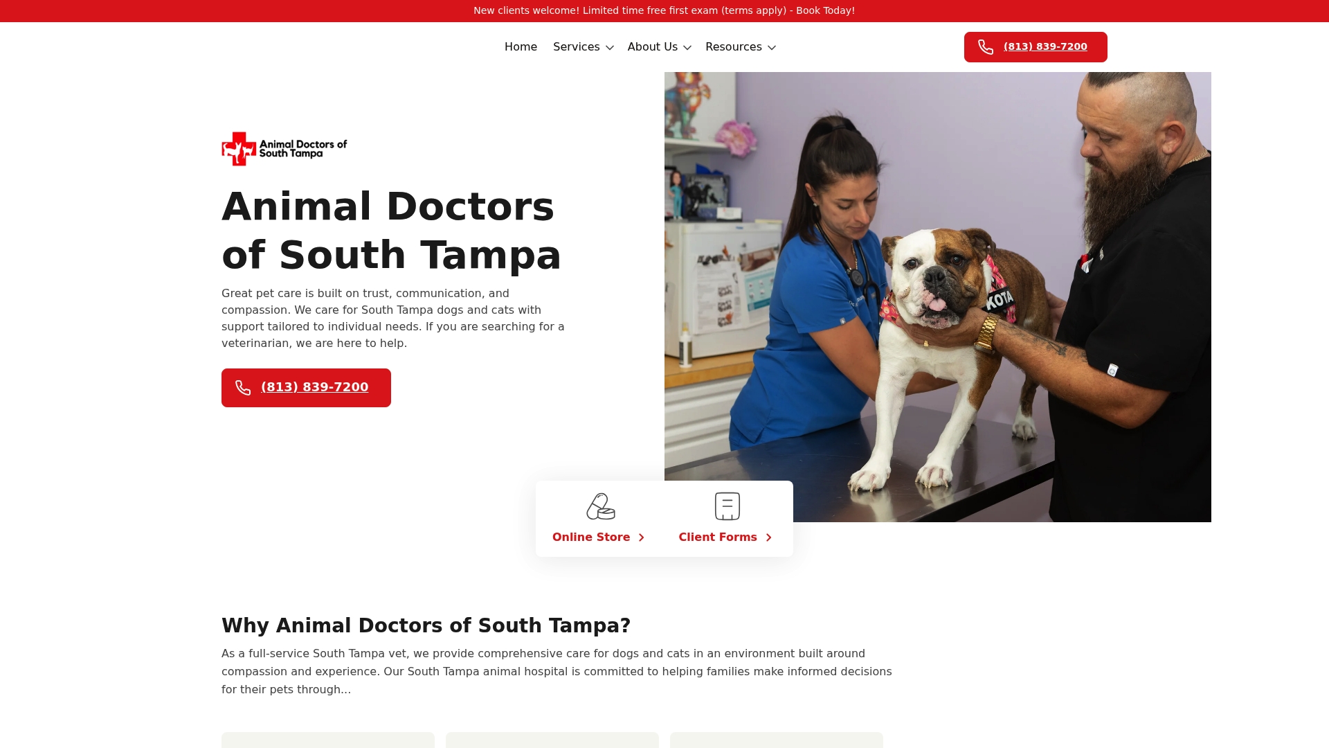 https://animaldoctorstampa.com