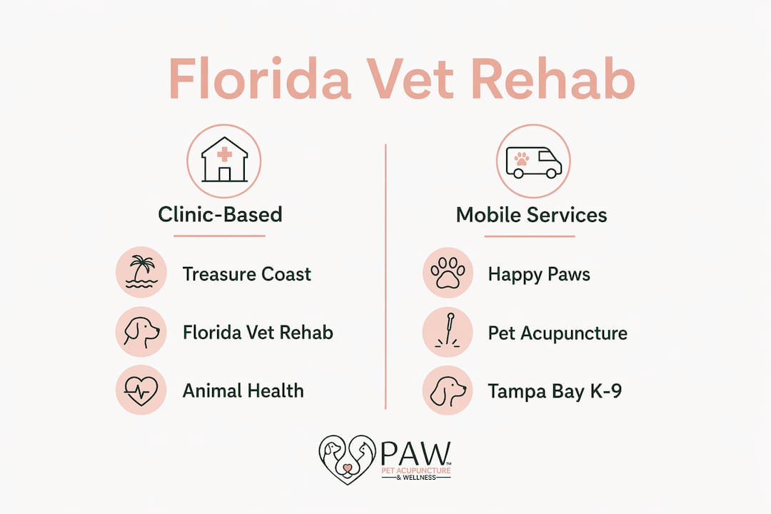 Infographic comparing clinic-based and mobile veterinary rehab providers in Florida