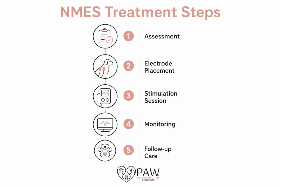 Infographic showing NMES therapy process steps