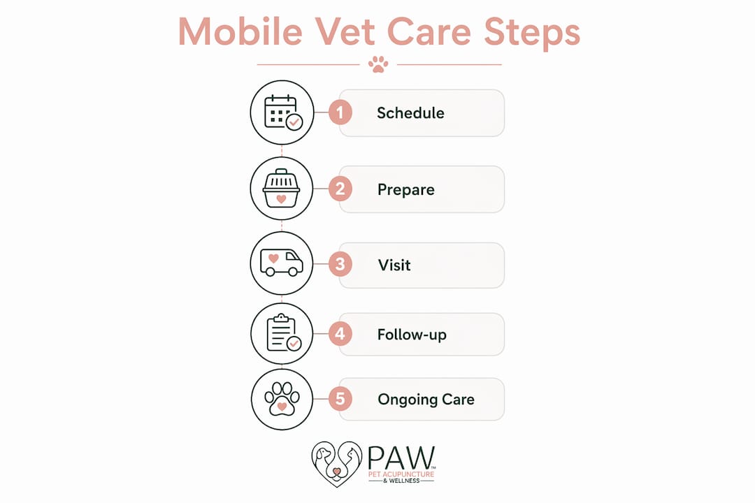 Infographic illustrating steps of mobile vet care process