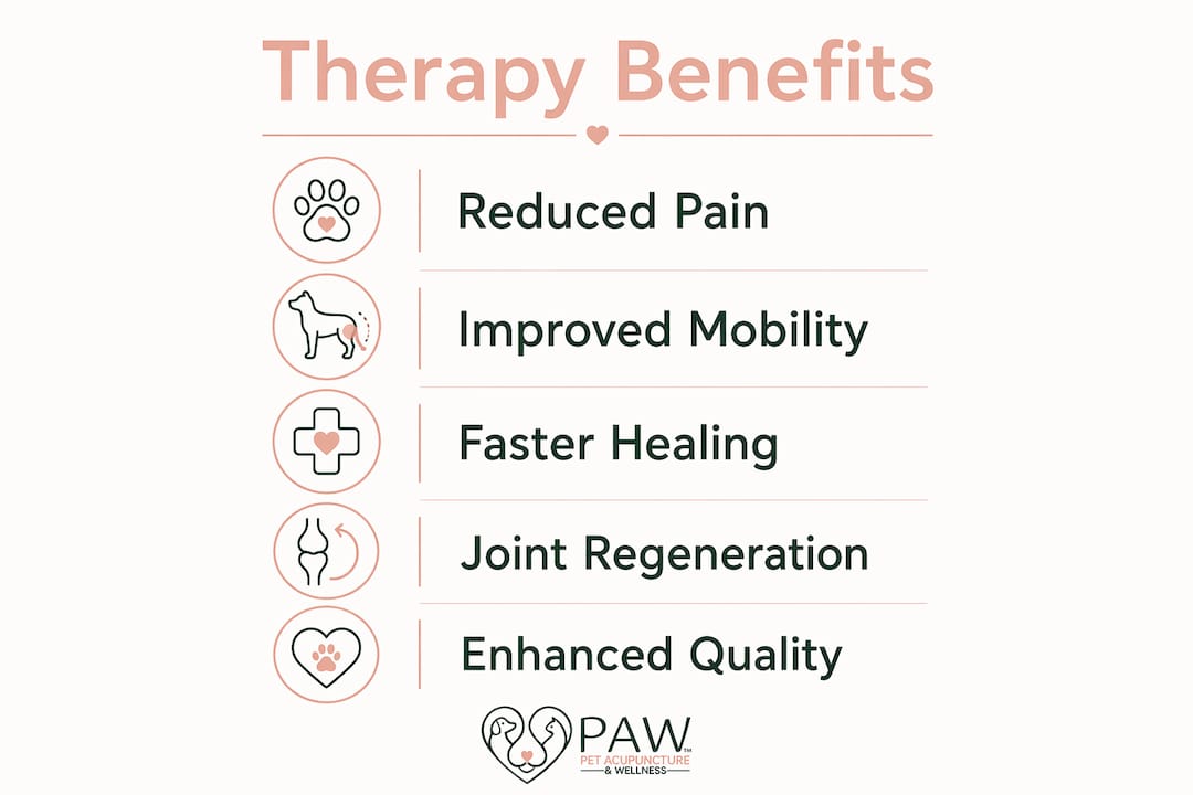 Infographic showing benefits of regenerative therapy for dogs