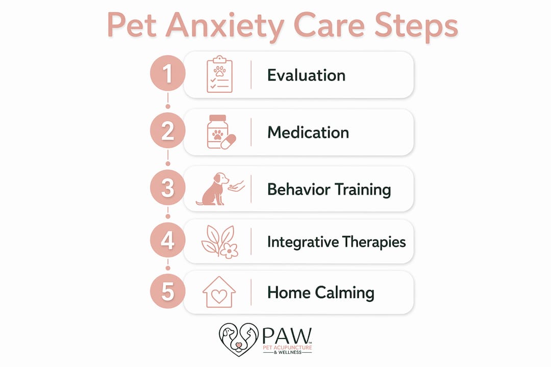 Infographic showing pet anxiety care step sequence