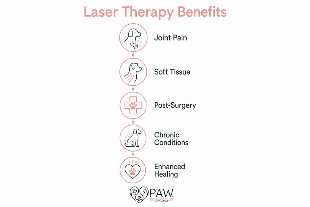 Infographic outlining key benefits of laser therapy for dogs
