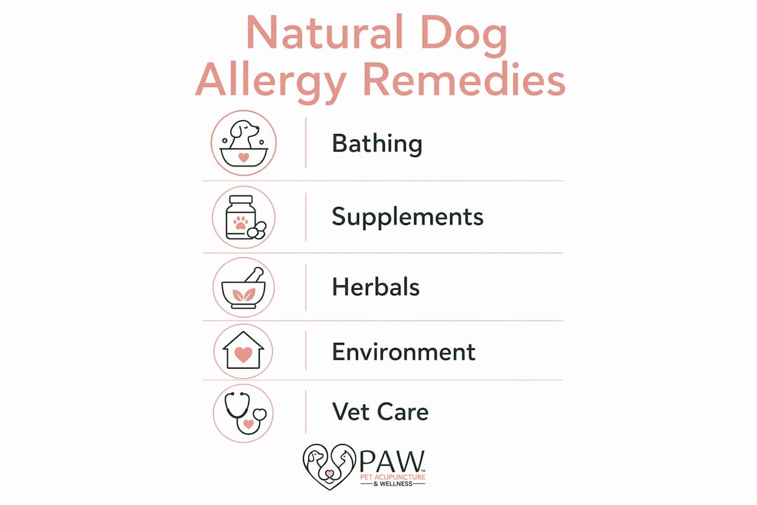 Infographic showing natural dog allergy remedies steps