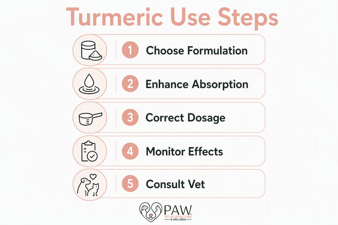 Infographic showing turmeric use steps for dogs