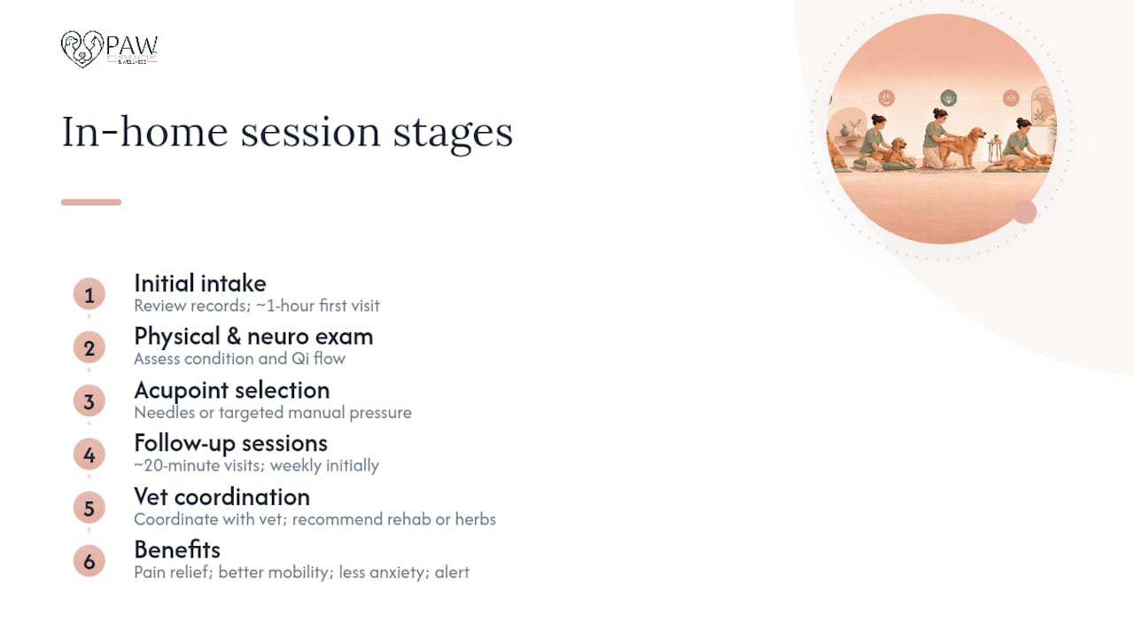 Diagram of acupressure session stages and health benefits