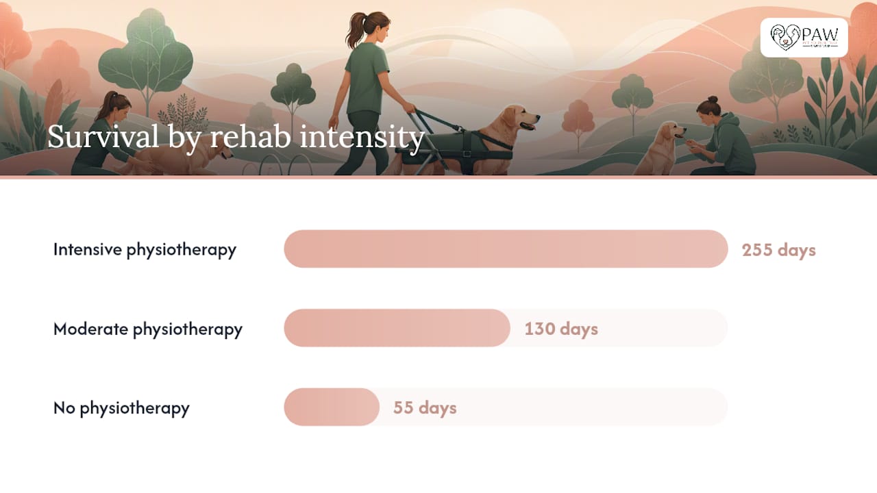 Bar chart of rehabilitation intensity versus survival days in dogs