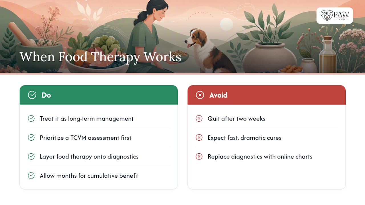 Editorial Perspective: Where Food Therapy Delivers and Where It Overpromises — overview diagram