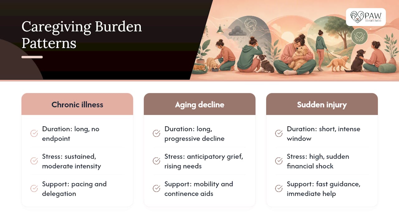Diagram comparing types of pet caregiver burnout patterns