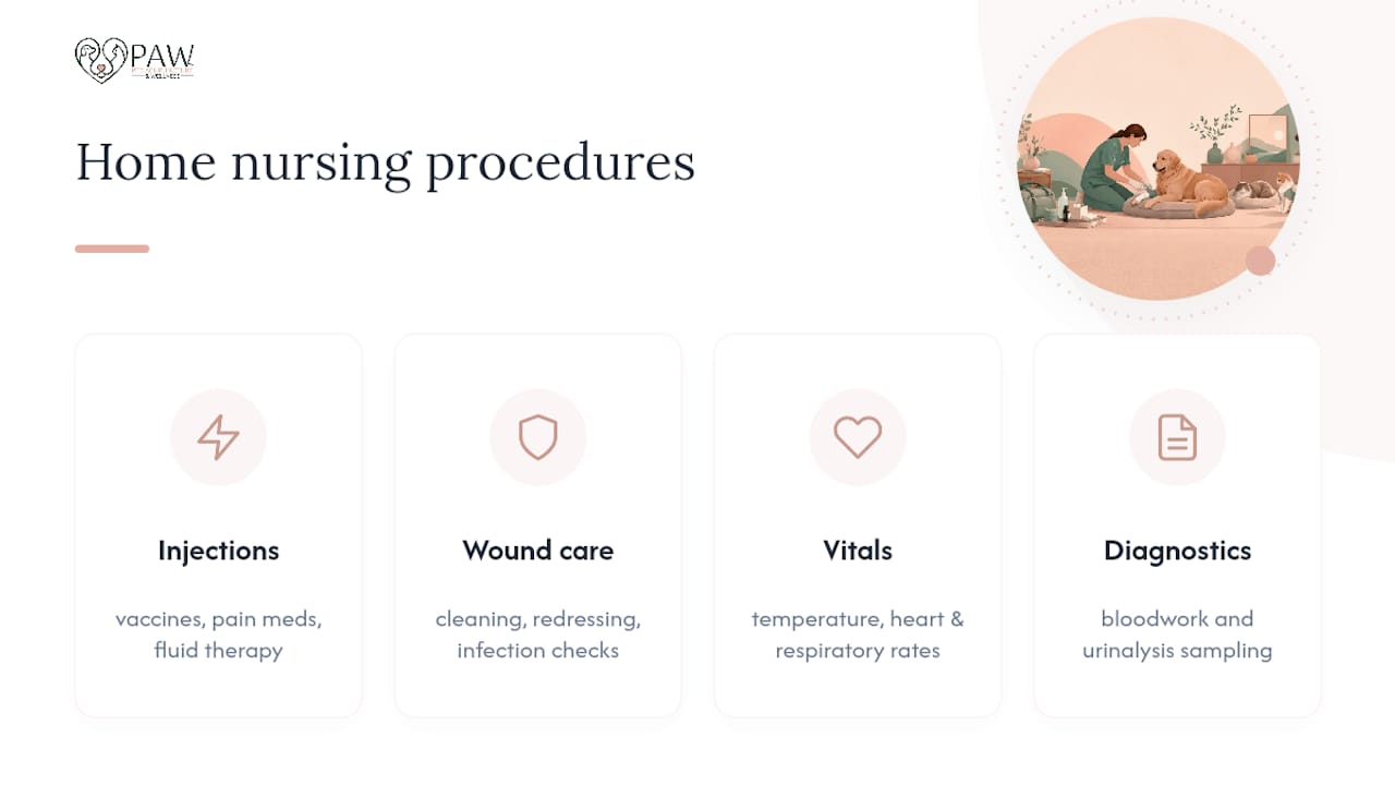 Diagram of common home veterinary nursing procedures
