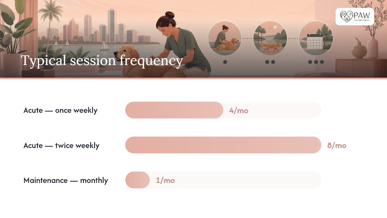 What a Treatment Session Actually Looks Like — overview diagram