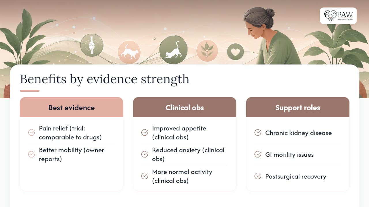 Evidence strength across acupuncture benefits