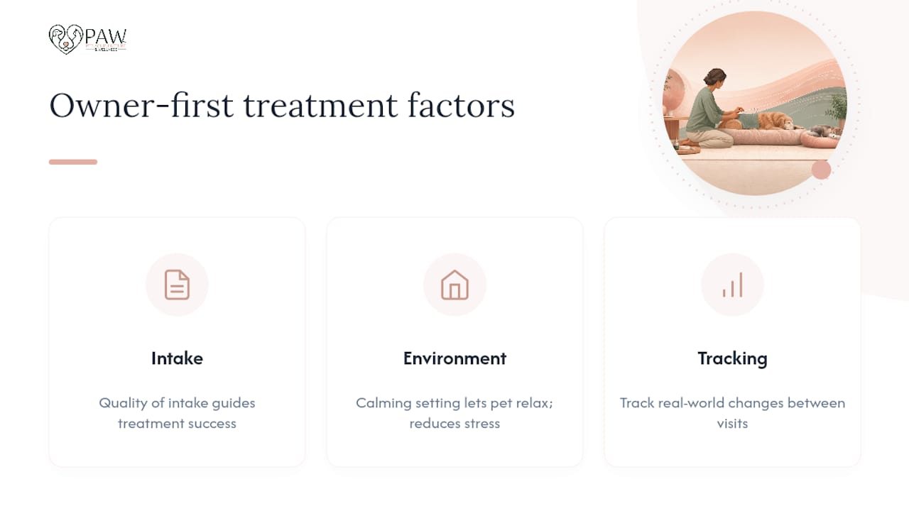 Three factors supporting pet acupuncture success
